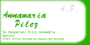 annamaria pilcz business card
